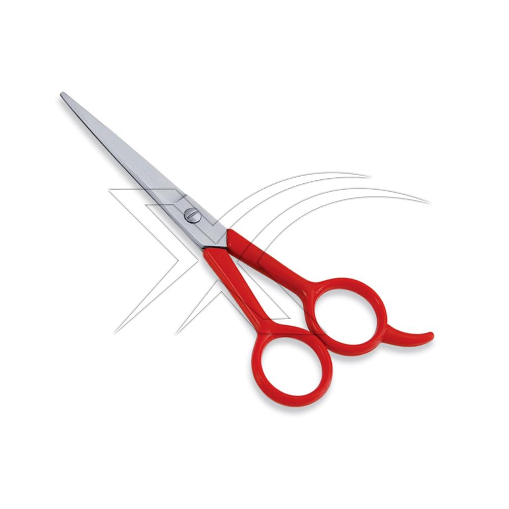 Economy Barber Scissor