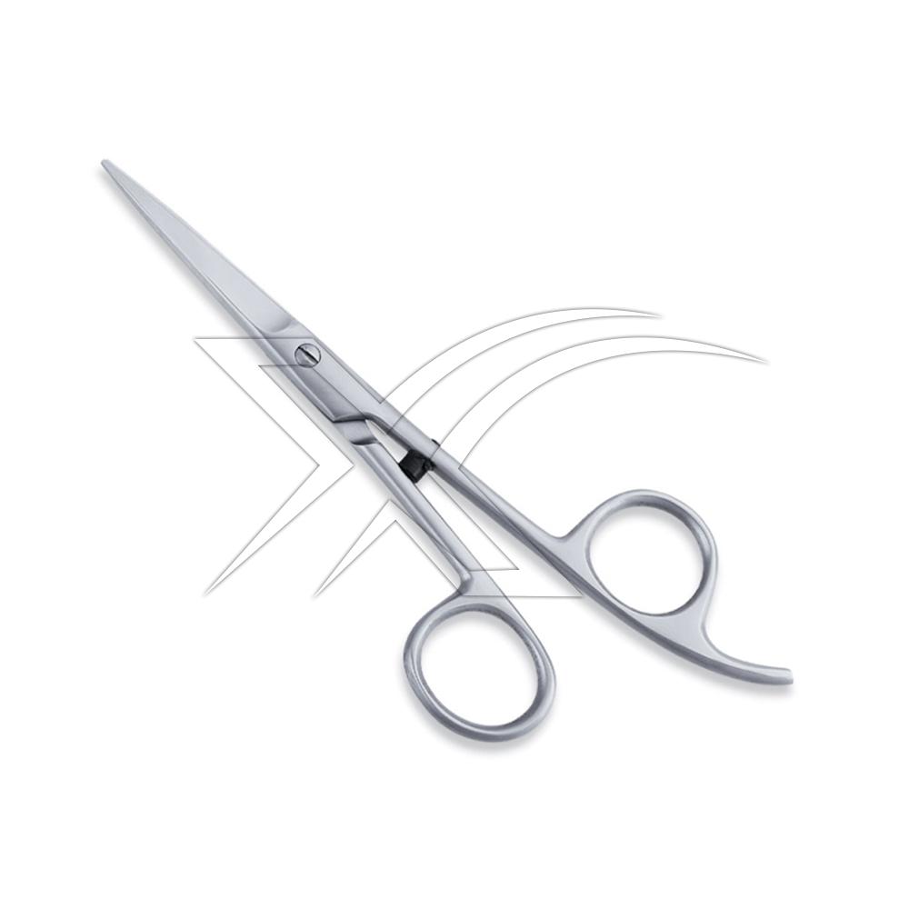 Economy Barber Scissor